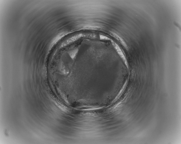 X0000097791027200803211816