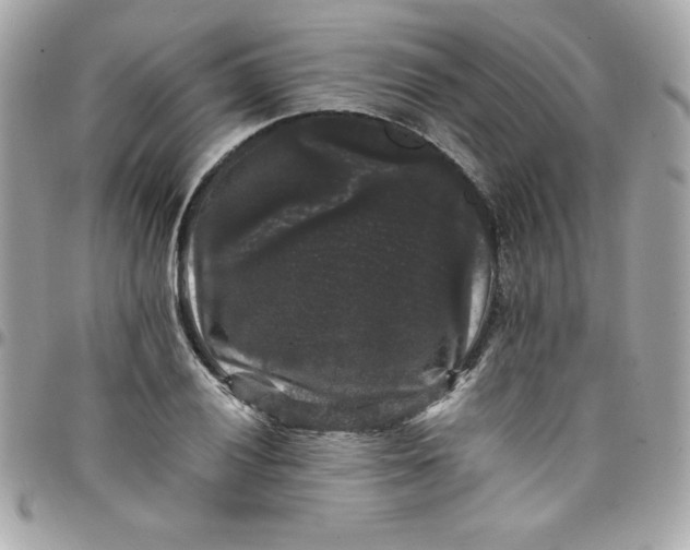 X0000097791028200803211816