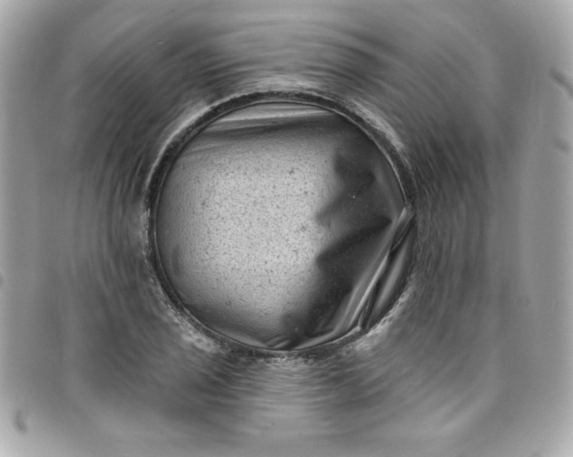 X0000097791029200803211816