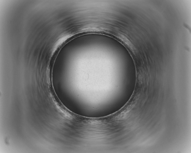 X0000097791030200803211816