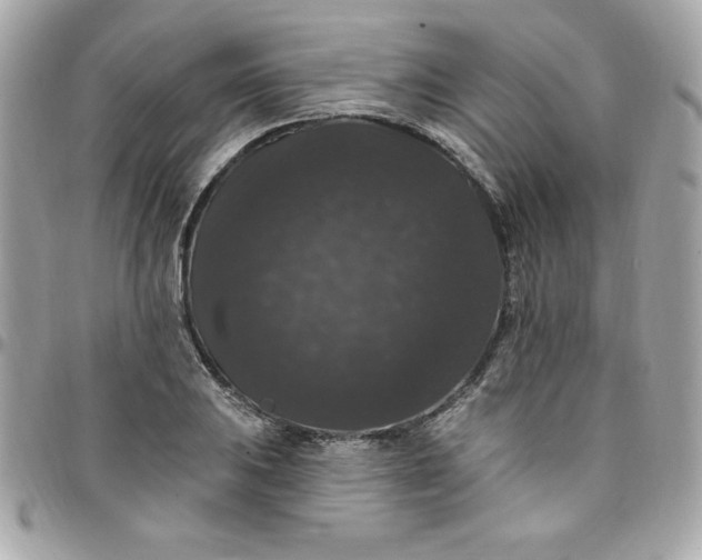X0000097791031200803211816