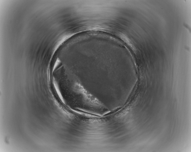 X0000097791032200803211816