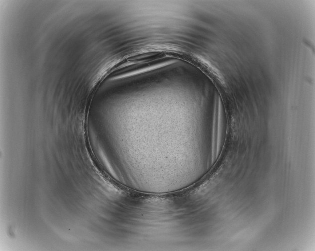 X0000097791033200803211816