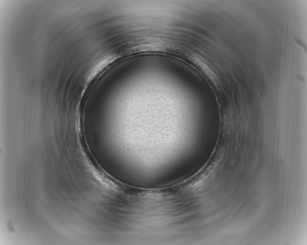 X0000097791034200803211816