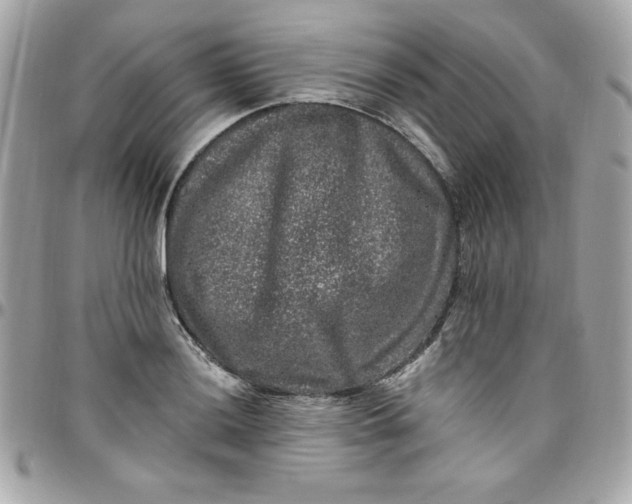 X0000097791036200803211816