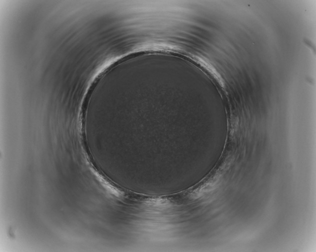 X0000097791037200803211816
