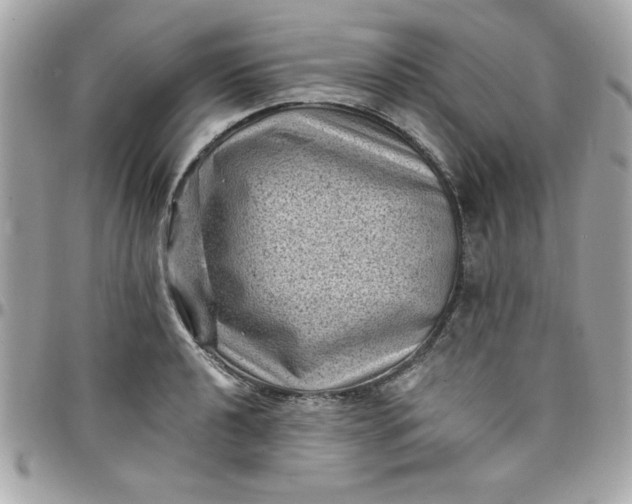 X0000097791040200803211816
