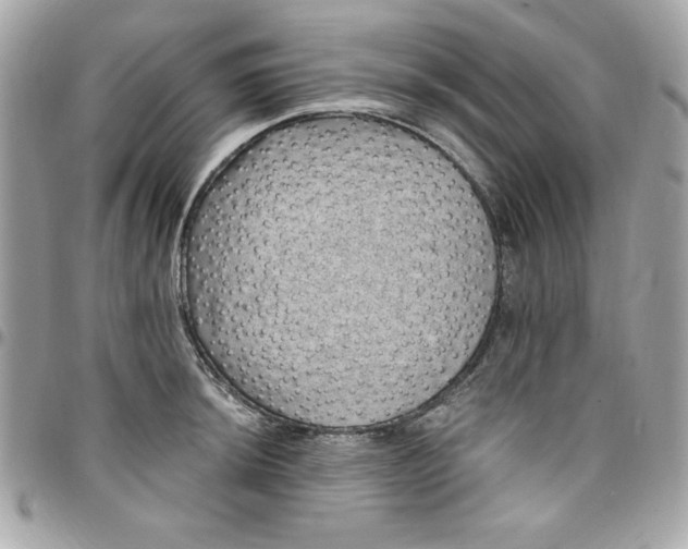 X0000097791044200803211816