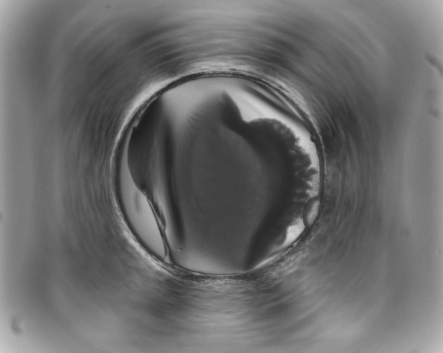 X0000097791045200803211816