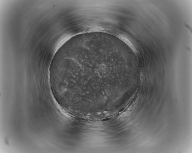 X0000097791047200803211816