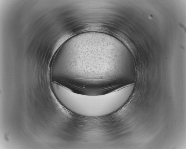 X0000097791050200803211816