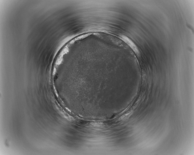 X0000097791052200803211816