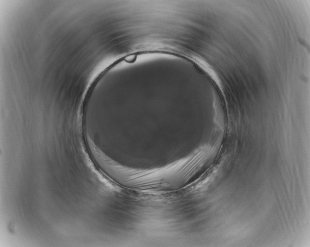 X0000097791053200803211817