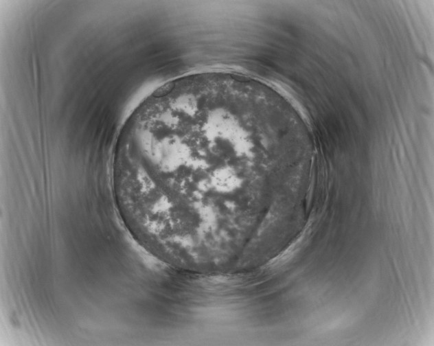 X0000097791054200803211817