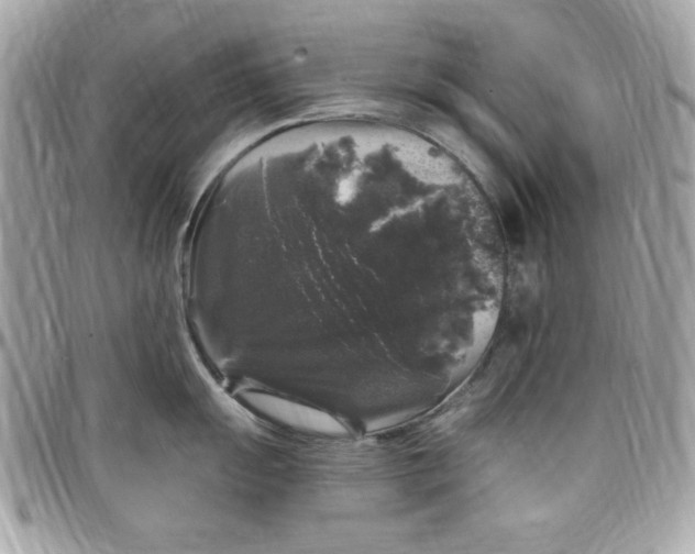 X0000097791055200803211817