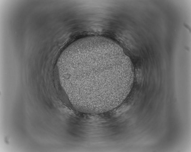 X0000097791057200803211816