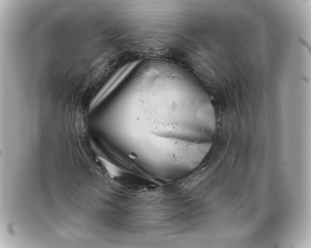 X0000097791058200803211816