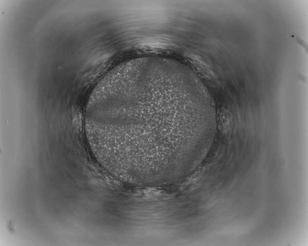 X0000097791061200803211816