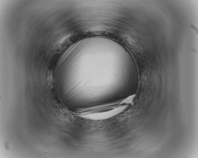X0000097791062200803211816