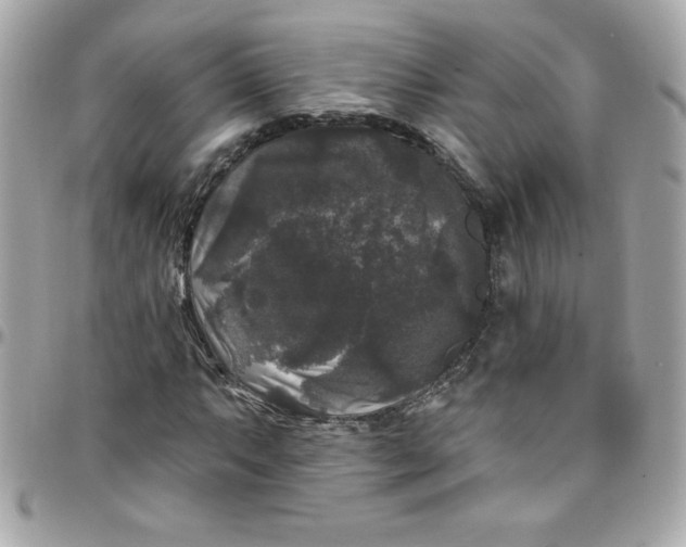X0000097791063200803211816