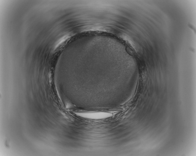 X0000097791064200803211816
