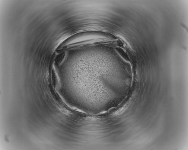 X0000097791065200803211816
