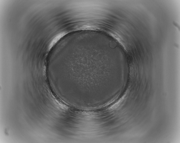 X0000097791066200803211816