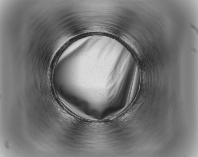 X0000097791068200803211816