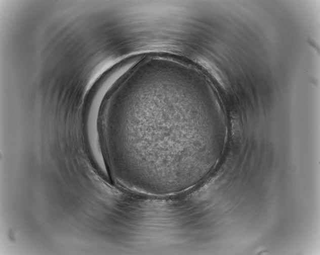 X0000097791069200803211816