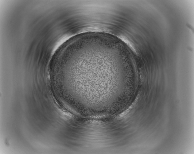 X0000097791070200803211816