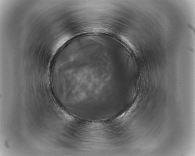 X0000097791071200803211816