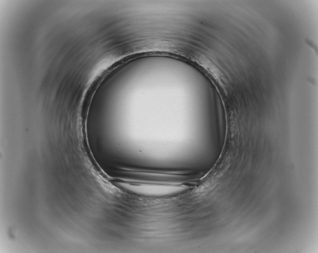 X0000097791072200803211816