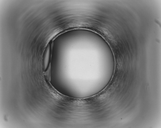 X0000097791073200803211816