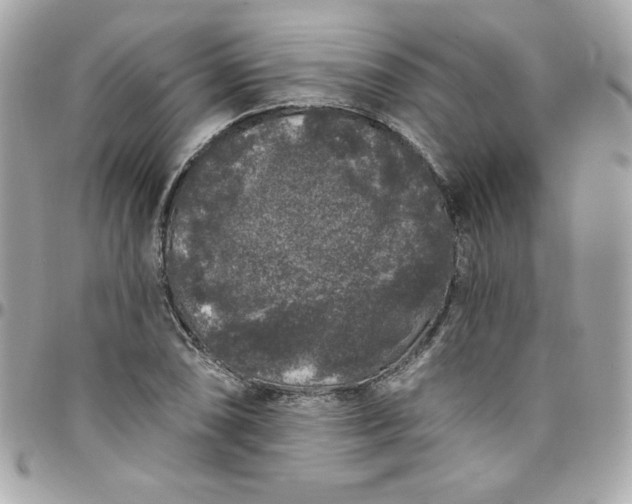 X0000097791074200803211816