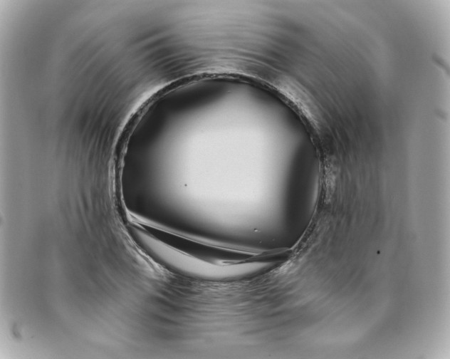 X0000097791076200803211816