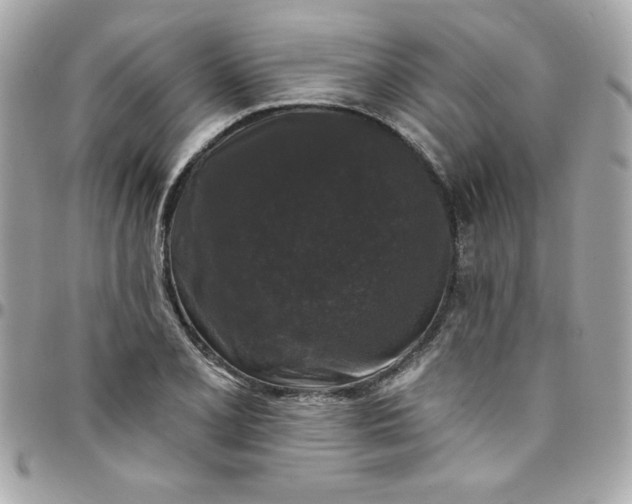 X0000097791077200803211816