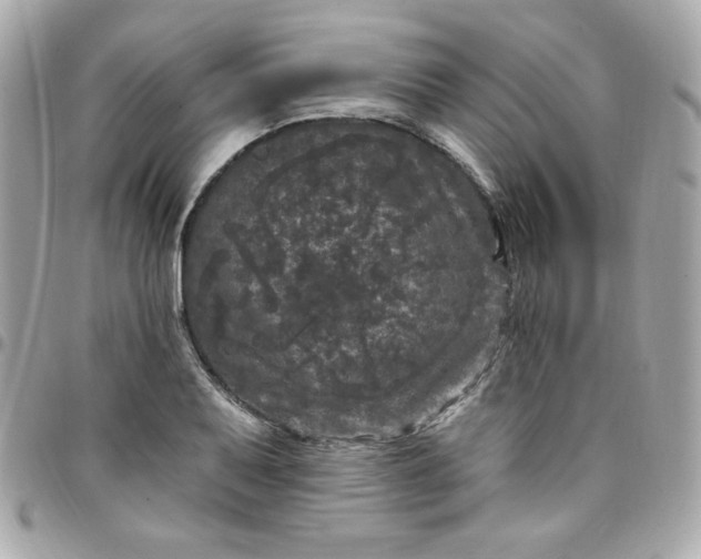X0000097791079200803211816