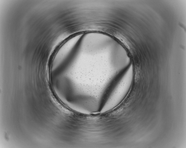 X0000097791080200803211816