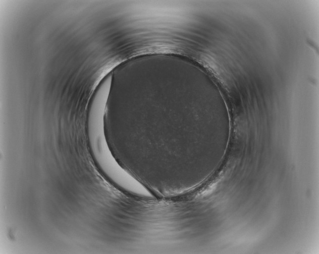 X0000097791081200803211816