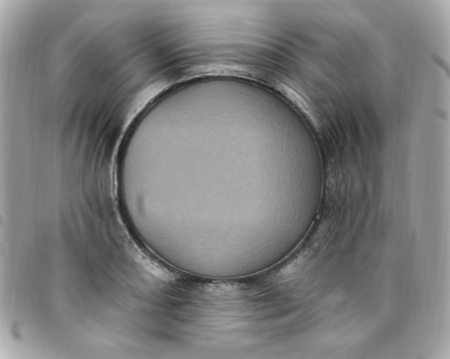 X0000097791082200803211816