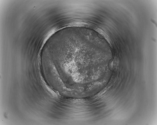 X0000097791083200803211816