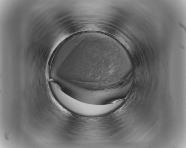 X0000097791084200803211816