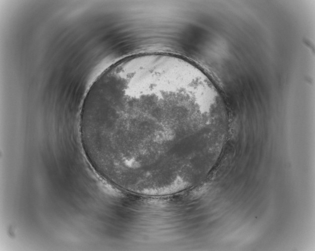 X0000097791086200803211815