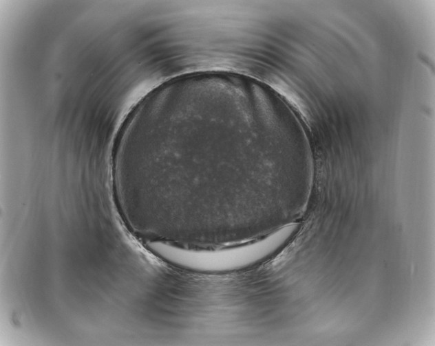 X0000097791088200803211815