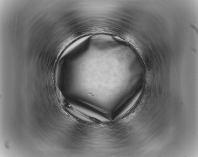 X0000097791089200803211815