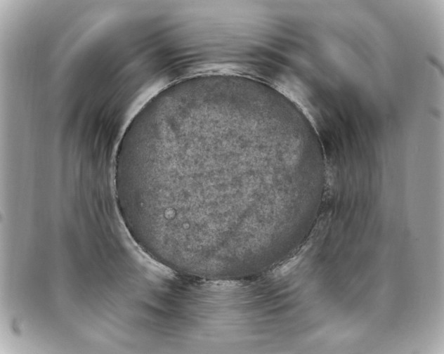 X0000097791090200803211815