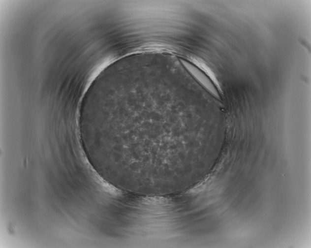 X0000097791091200803211815