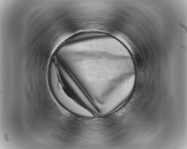 X0000097791093200803211815