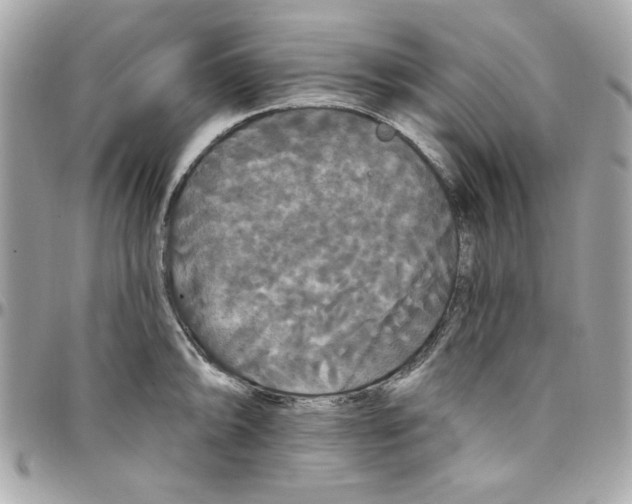 X0000097791094200803211815