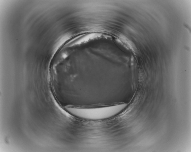 X0000097791095200803211815